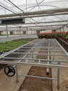 多層移動苗床網(wǎng)設(shè)計生產(chǎn)花卉育苗床廠批量定制