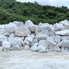 广东工业级1250目重质碳酸钙优质碳酸钙粉超白超细重钙粉图片