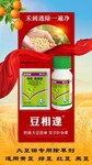 大豆田专用除草剂厂家，效果好的黄豆地除草剂，15%精喹氟磺胺