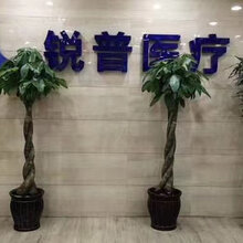 不在白名单的厂家可以出口吗,锐普医疗重整旗鼓轻装出发图片