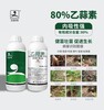 水稻惡苗病80%乙蒜素