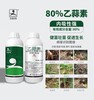 水稻恶苗病80%乙蒜素