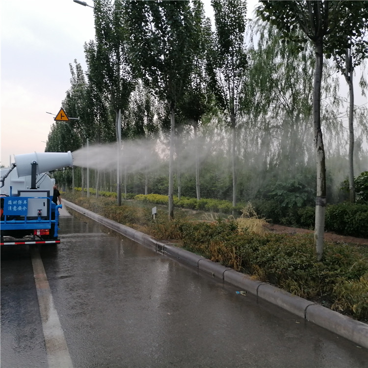 电动雾炮洒水车生产厂家 2方洒水车