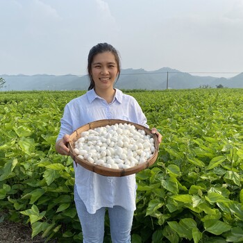 蚕丝被100桑蚕丝蚕丝被冬被蚕丝空调被夏凉被