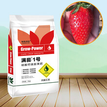 草莓专用肥中量元素水溶肥含硝酸钙镁膨果肥全水溶粉体肥