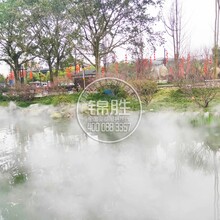 喷雾造景/冷雾造景/锦胜雾森人造雾在园林景观建设中的意义图片