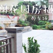 澜山一号龙华小产权房均价12000/平米首付五成分期3年图片