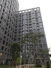 山水田苑平湖小产权房首付8.8万起分期10年图片