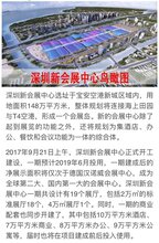 会展中心城沙井小产权房两房二厅(68-77平米)图片