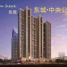东莞东城中央公馆三栋均价5880/平米无条件首付五成图片