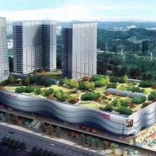 平湖小产权房十号公馆华南城地铁口50米均价16800/平米图片