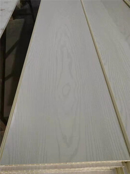 河北石家庄市竹木纤维集成墙板装饰扣板生产厂家