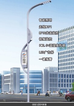 5G設(shè)備智慧燈桿批發(fā)
