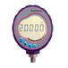 Druck干式溫度校準器DRYTC165