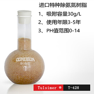 华中地区印染废水除氨氮、硝态氮离子交换树脂工艺图片1