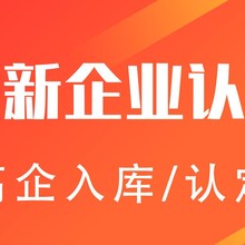 2021年常熟市双软认证好处及常熟双软代办