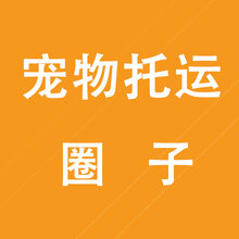 丽江宠物托运服务飞机火车汽车托运宠物服务国内国际图片