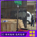 河北省邯鄲市移動小型礦用照明燈高度