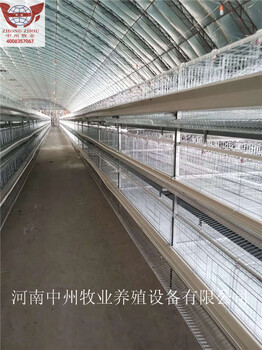 小层叠三层层叠式鸡笼设备热镀锌鸡舍设备