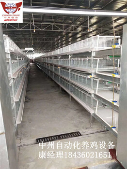 三层四层蛋鸡笼配套自动化笼养设备鸡舍养殖厂设备