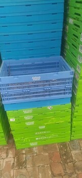天津市回收各种塑料筐，塑料折叠筐回收