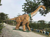 大型恐龙展恐龙展租赁恐龙展全国展览