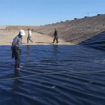 蓄水池土工膜防渗膜土工膜厂家