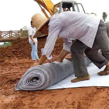 宁波防水毯,膨润土防水垫