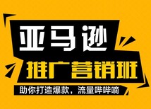 重庆易速通跨境电商亚马逊无货源ERP店群一站式培训孵化，低门槛图片0