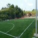  Jiangsu Football Field Artificial Lawn Factory Direct Sales
