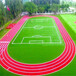  Customized artificial turf of Jiangsu football field