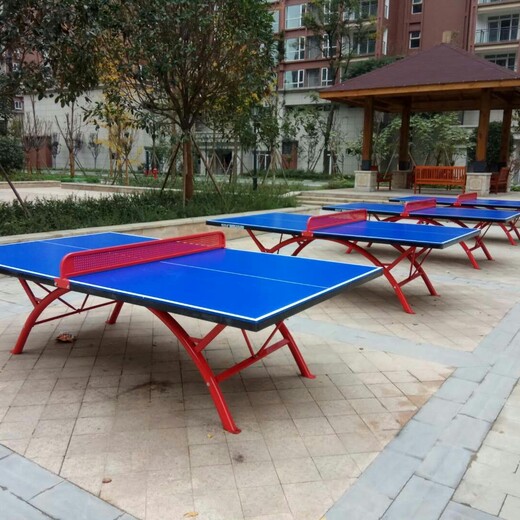 浙江乒乓球台