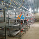 厂家定制家禽笼养设备商品鸡鸭鹅框架笼热镀锌框架笼