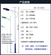 厂家定制一体化太阳能路灯6米8米新农村一体化太阳能路灯