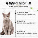 猫用多肽卵磷脂营养粉猫狗保健品OEM代工厂家贴牌生产力多肽图片1