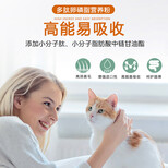 猫用多肽卵磷脂营养粉猫狗保健品OEM代工厂家贴牌生产力多肽图片2