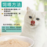 猫用多肽卵磷脂营养粉猫狗保健品OEM代工厂家贴牌生产力多肽图片5