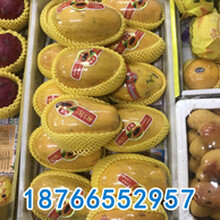 贵州菠萝包装网套机，龙口同祥机械，菠萝包装网套机出口