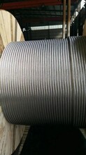山东德州钢芯铝绞线JL/G1A-150/20厂家
