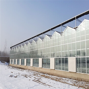 阳光板温室温室定制苗木温室厂家
