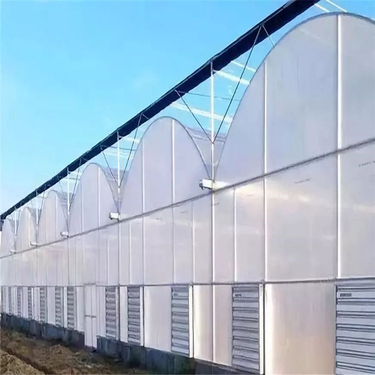 连栋薄膜温室大棚可种植养殖动植物建造温室基地