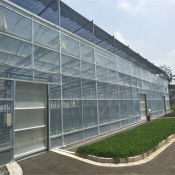 新型连栋温室建设连栋玻璃温室建造工程