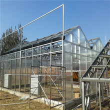 青州厂家建设花卉温室玻璃温室工程