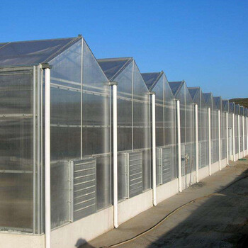 山东潍坊阳光板温室建设阳光板玻璃温室建设工程