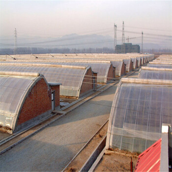 温室厂家建设农业大棚日光薄膜温室大棚