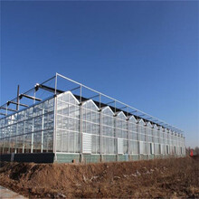 玻璃温室玻璃大棚可建组合式小型暖房建设工程