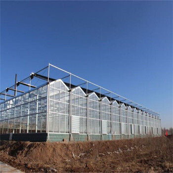 新型水果蔬菜智能温室种植智能温室大棚建设
