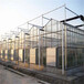玻璃溫室玻璃大棚可種植食用菌類石材等