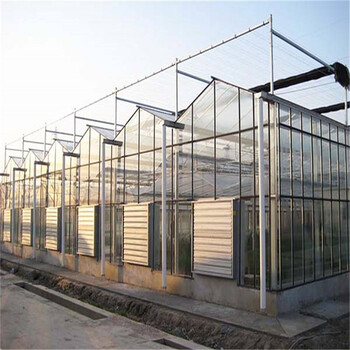 温室玻璃大棚可种植养殖动植物建造温室基地