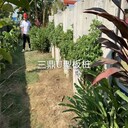廣東U型板樁廠家